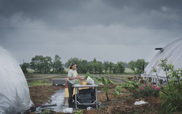 Harvesting Hope: The Martin Family